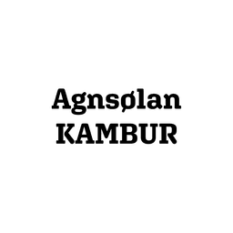 Agnsølan logo