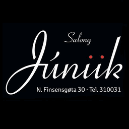 Salong Júniik logo