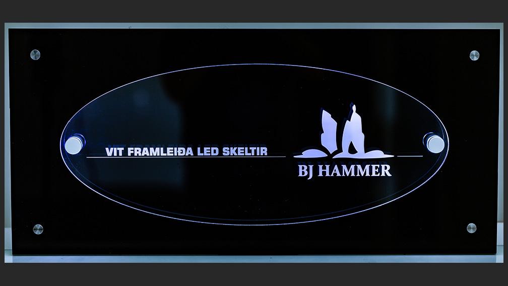 BJ Hammer Sp/f cover